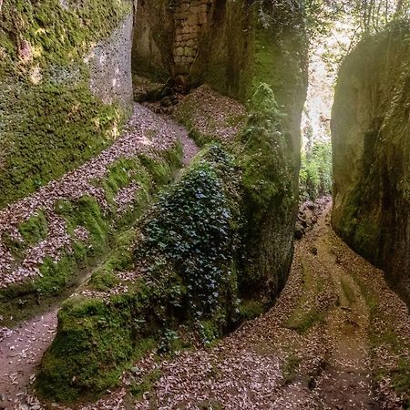 La Sorpresa Monolocale Con Vista Vallata Pitigliano Dış mekan fotoğraf