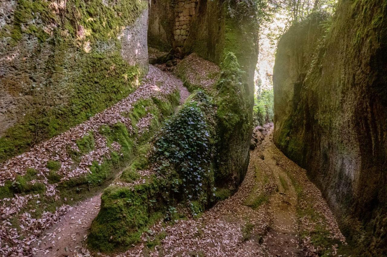 La Sorpresa Monolocale Con Vista Vallata Pitigliano Dış mekan fotoğraf